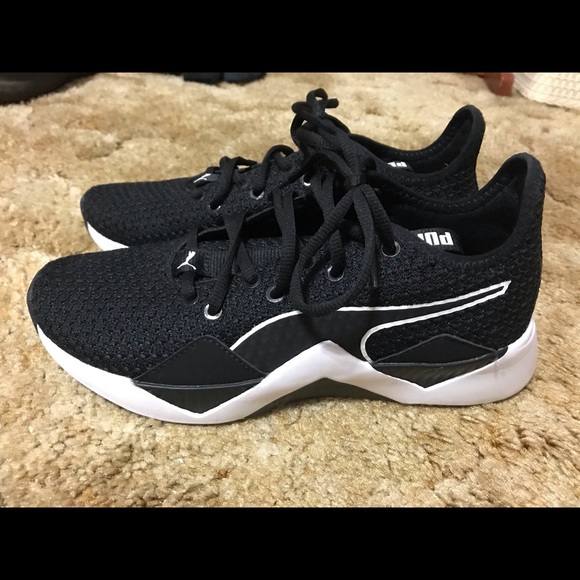 puma couple shoes